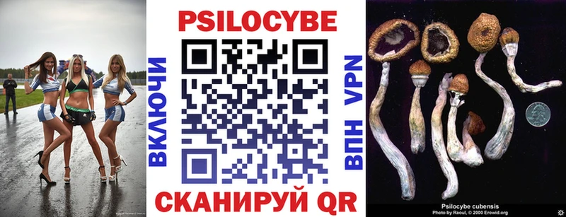 mega зеркало  Тамбов  Псилоцибиновые грибы ЛСД 